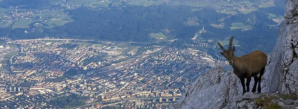 Hotel Charlotte Innsbruck 4*,  Autriche